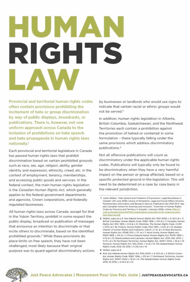 pdf-international-human-rights-law